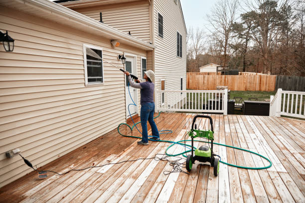 Best Affordable Pressure Washing  in Afton, MN