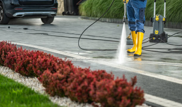 Best Sidewalk Pressure Washing  in Afton, MN