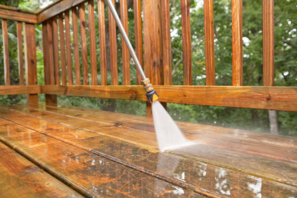 Best Roof Pressure Washing  in Afton, MN